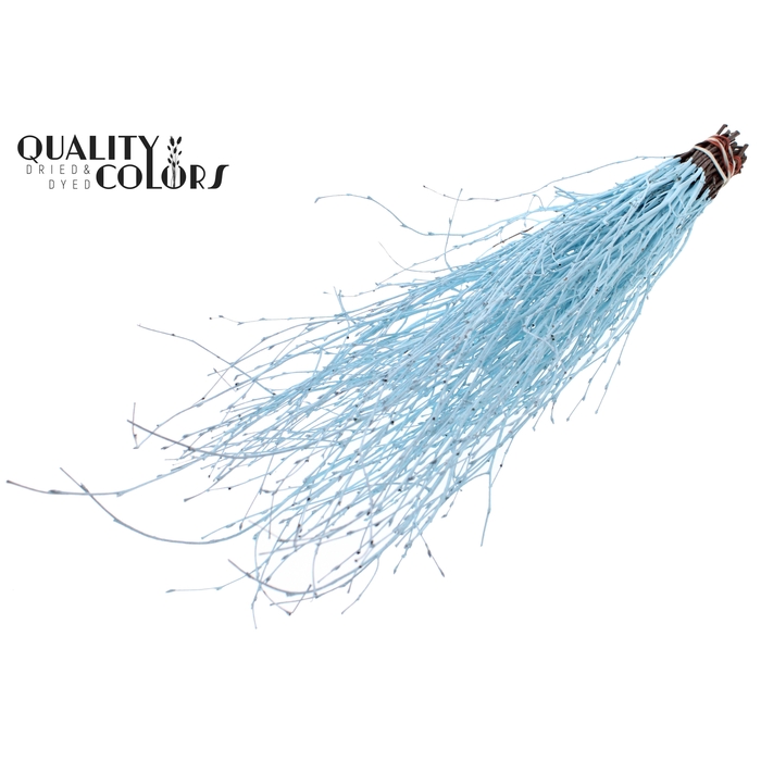 <h4>Birch 70cm 10stems per bunch Light Blue</h4>