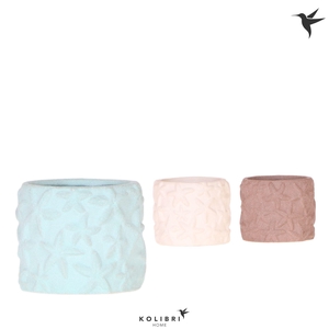 Kolibri Home Star Fish pot mix