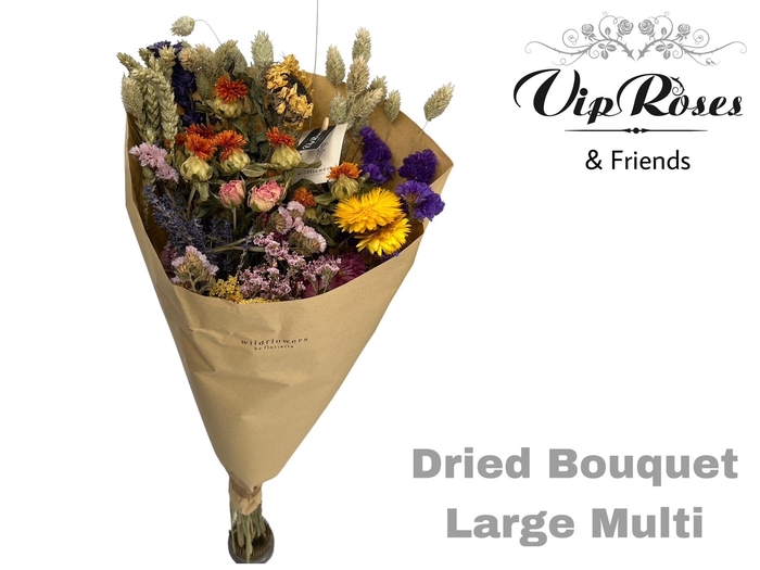 Vip Dried Bouquet Large Multi X8