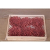 Wax Chrysant Rood