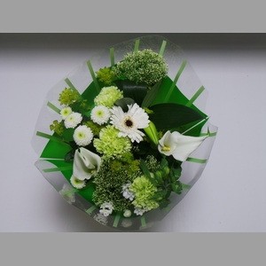 BQ 13 stems White