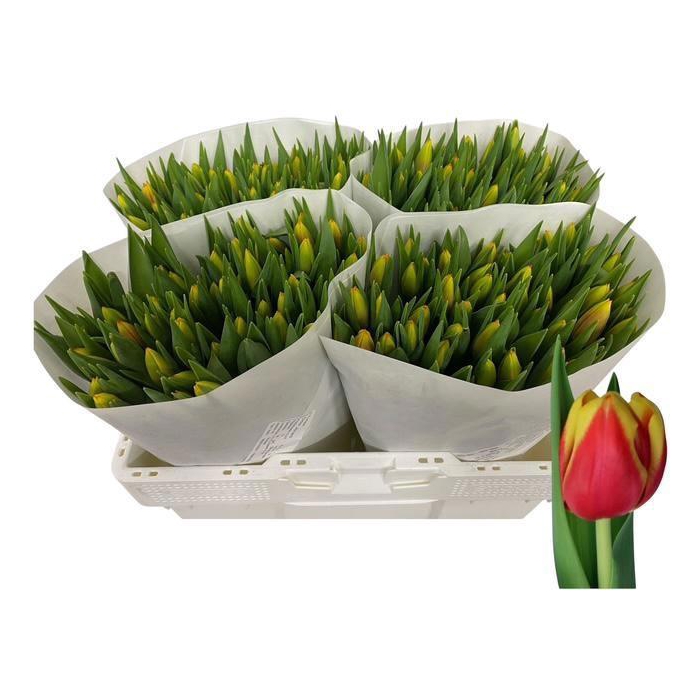 <h4>TU EN DOW JONES</h4>