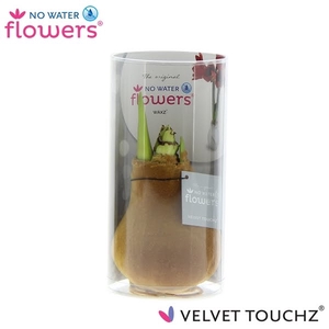 No Water Flowers Velvet Touchz® Copper in koker