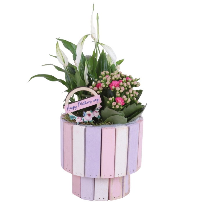 <h4>Mothersday Arr. Indoor Wooden Pot on Stand Pastel Pink Ø15cm 2PP</h4>