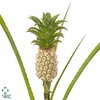 Ananas Baby Green