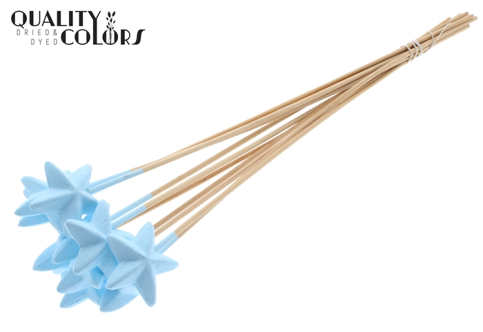 Styro Star flat type on stem Light Blue