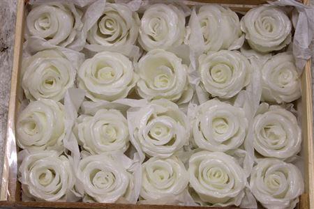 <h4>Wax Roos Klein Wit</h4>