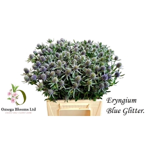 Eryn Pl Blue Glitter