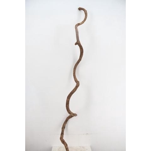 Liana Tarzan small 200cm