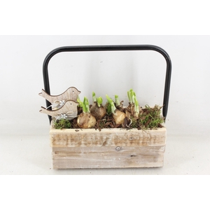 arr4 Narcis JS - Hout rechth. hengsel