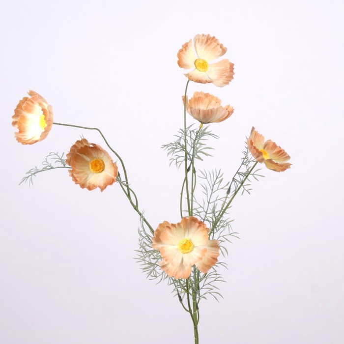 <h4>AF Papaver spray x6 L101cm pe</h4>