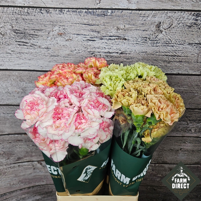 <h4>DI ST GEMENGD IN FUST</h4>