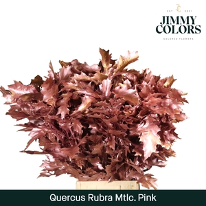 Quercus Rubra L80 Metallic roze