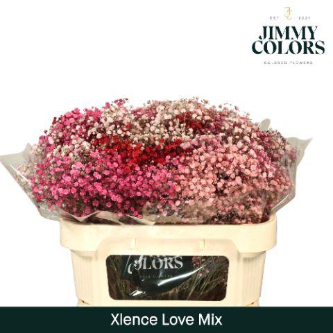<h4>Gyps Xlence l70 Love mix</h4>