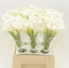 Calla White Art