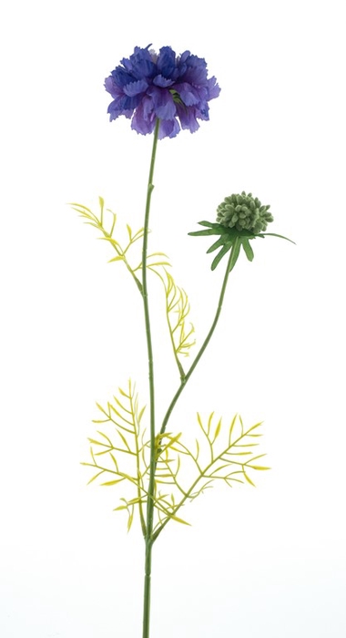 <h4>Wild scabiosa spray purple 70cm</h4>