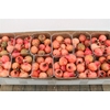 Sier Granaatappel Red Green Mix X20 P Box