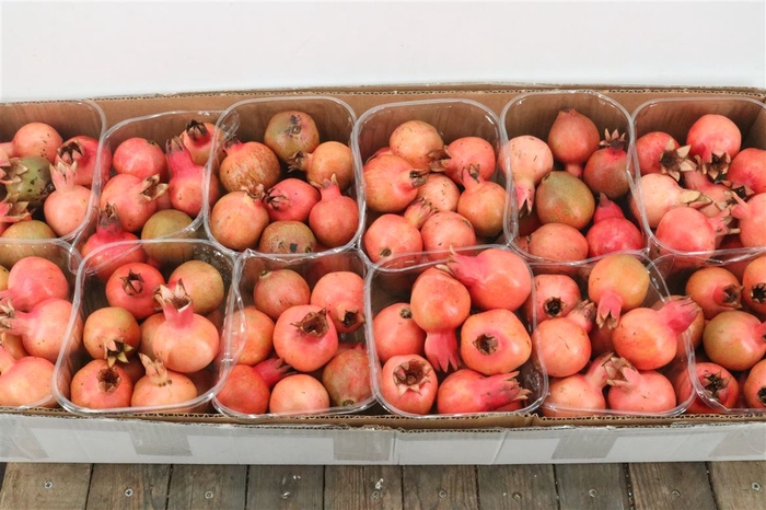 Sier Granaatappel Red Green Mix X20 P Box