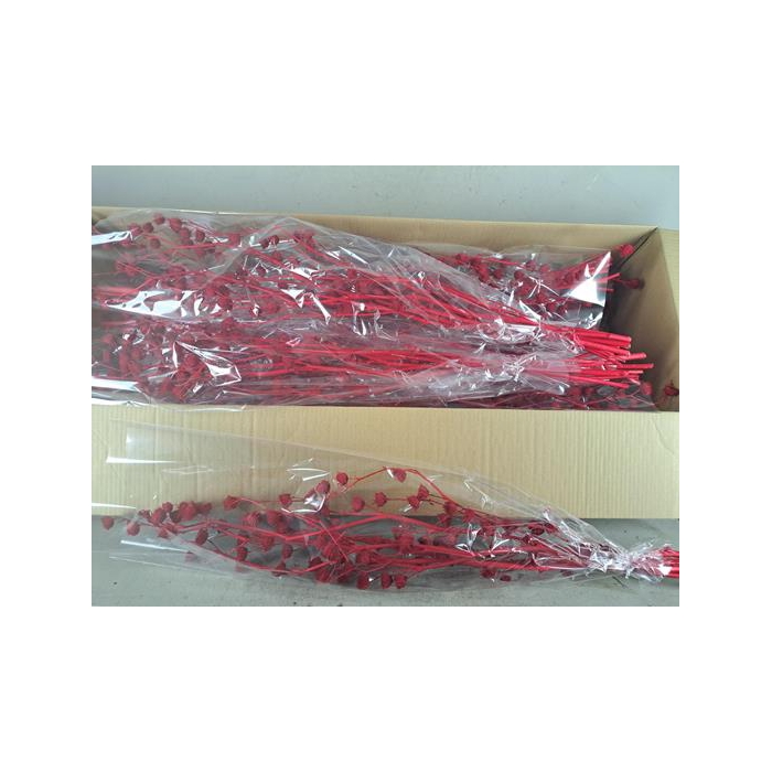 <h4>Df Lavatera Bs Red 120g</h4>