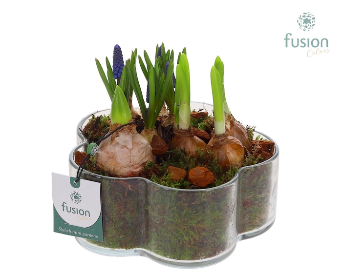 <h4>Glazen Bloemschaalmet Mixbol arrangement</h4>