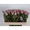 Camp M Cam Pear Pink