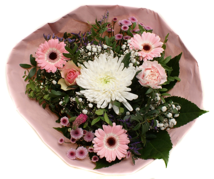 <h4>2025005 Roze</h4>