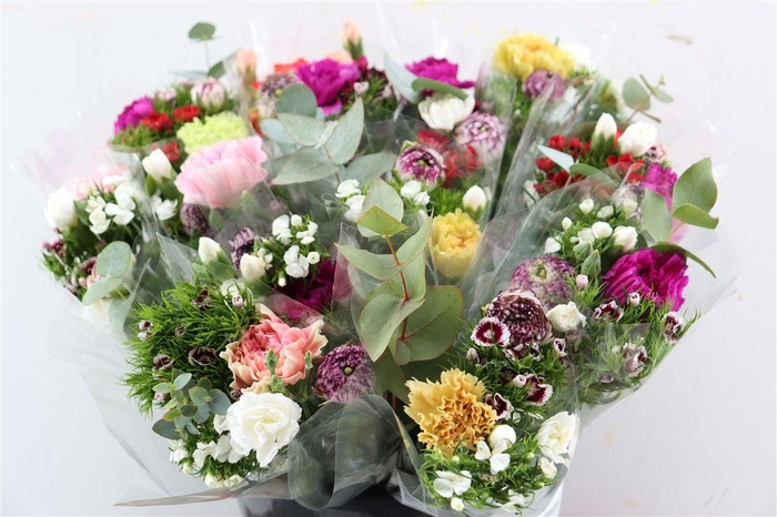 <h4>Bouquet Season Sivas</h4>