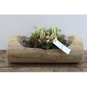 Arr Teak Bowl Rectangle 35cm Pa172