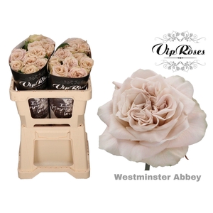 R GR WMINSTER ABBEY!