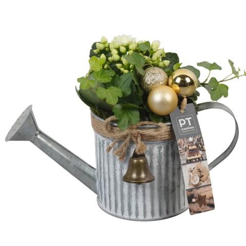 <h4>PTCHG5670 Arrangementen Kerst</h4>