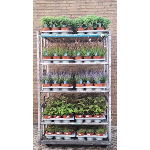 VASTE PLANT GEM 5 SO