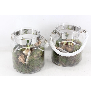 arr4 Narcis JS - Glazen fles wit touw