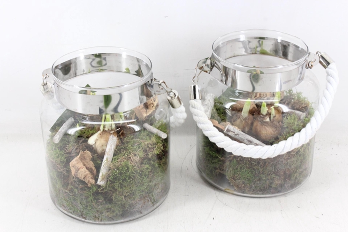 <h4>arr4 Narcis JS - Glazen fles wit touw</h4>