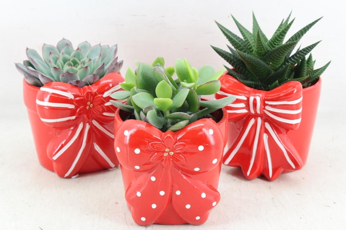 <h4>arr3 Demi - Strikpot x6</h4>