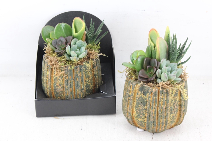 <h4>arr3 AD - Steen Milo</h4>