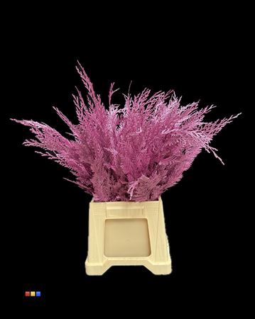 <h4>Coniferen Metallic Cerise</h4>