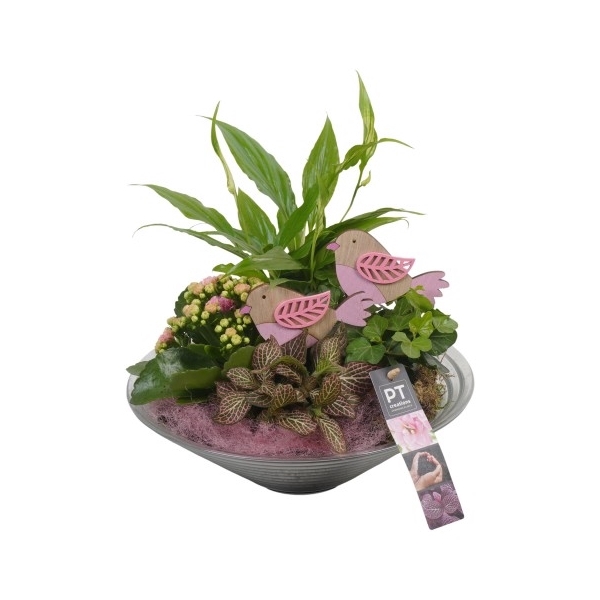 <h4>PTIG1432 Arrangement Indoor in glas schaal</h4>