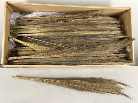 <h4>Df Broom Grass 50gr Natural</h4>