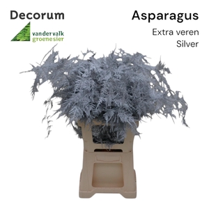 Asp extra veren Silver