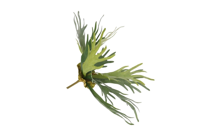 <h4>Silk Fern Staghorn In Pot Green 51cm</h4>