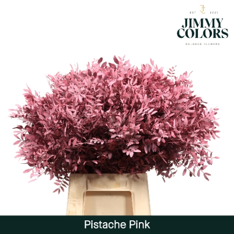 <h4>Pistache L50 Pink</h4>