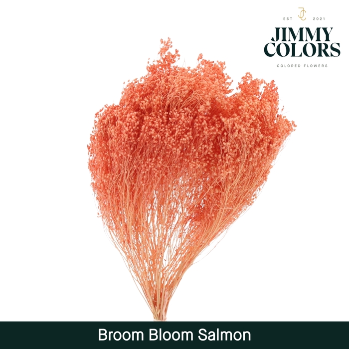 <h4>Broom bloom Coral</h4>