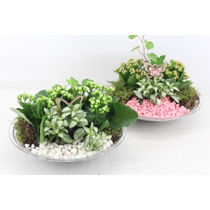arr2 PL - Glas schaal 27cm - roze/wit