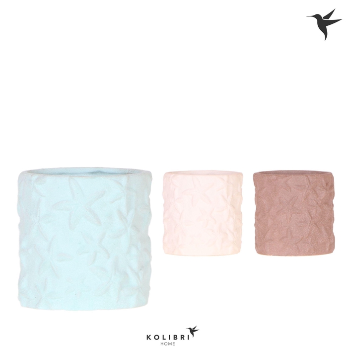 <h4>Kolibri Home Star Fish pot mix</h4>