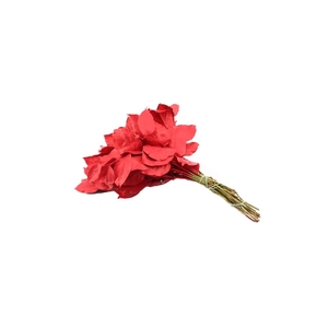 Salal Tip Gev. Rood