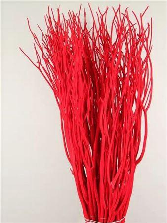 <h4>Mitsumata Col Rood</h4>