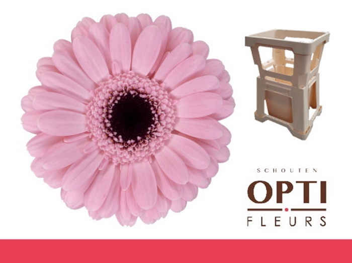 <h4>GE MI SMART-Water</h4>