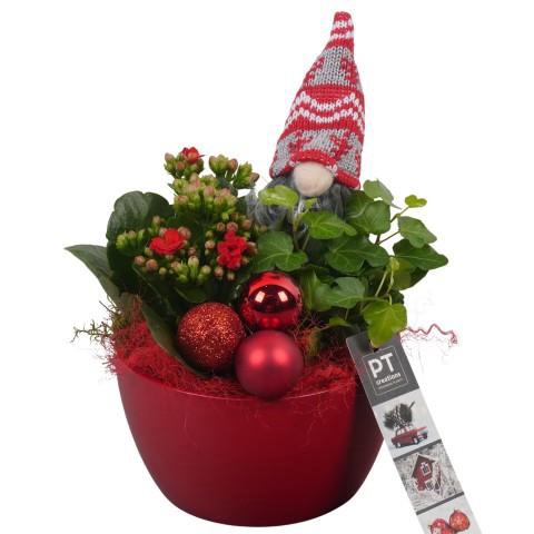 <h4>PTCHR7226 Arrangement Christmas Red in keramiek schaal</h4>
