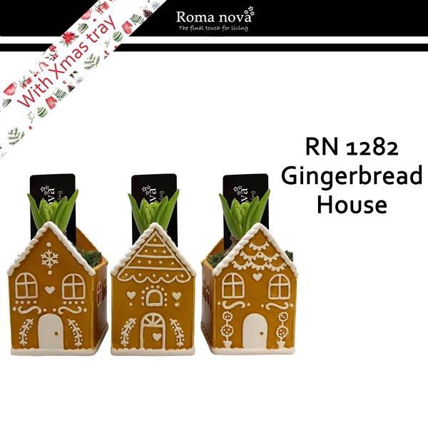 <h4>Arrangementen Hyacinthus 6%</h4>