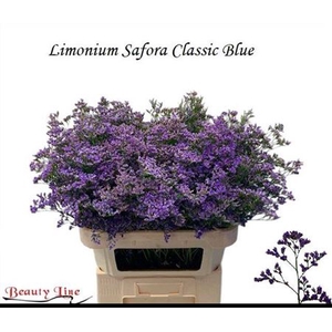 Lim Saf Classic Blue